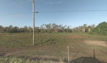 South Florida Landscape