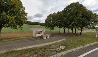 Site Gallo-Romain de Diénay