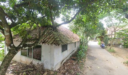 rumah betafish