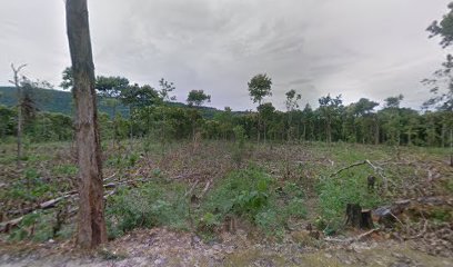 Hutan Jati Sampolawa