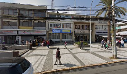 Ilustre Municipalidad de Puente Alto