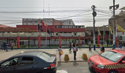 Fiscalia Transito Y Seguridad Vial de Lima Norte