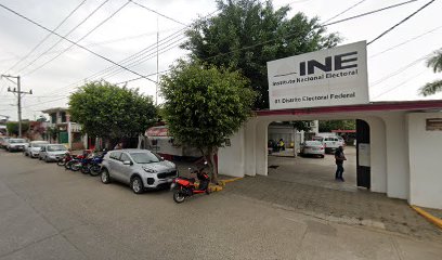 Instituto Nacional Electoral INE