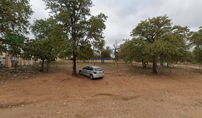 DZUMERI ROYAL CEMETERY