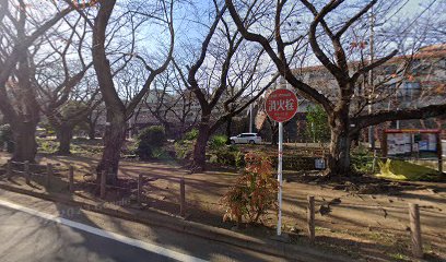 福田 千本桜