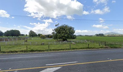 Pirongia Travel Lines