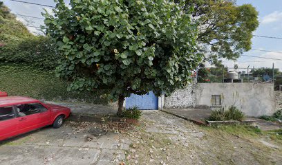 Jardín de Niños los Encinos