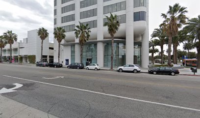 The Santa Monica Pier Group - Morgan Stanley