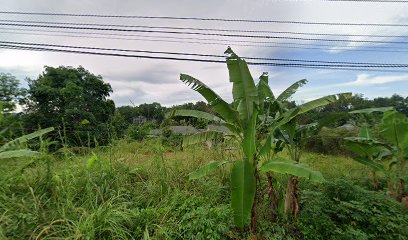 Rumah nek rom