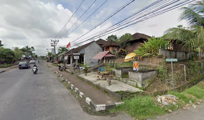 Praktek Dokter Hewan Ni Kadek Nining Laksmi Dewi