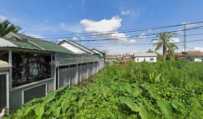 Breeder Ayam Bangkok