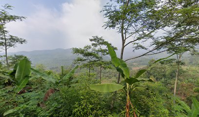 Kurnia Jaya Farm .CV