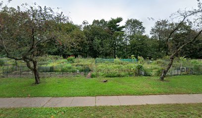 West Hartford community garden