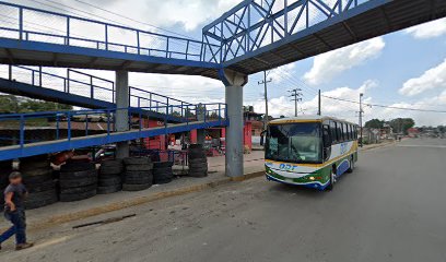 Alimentos Balanceados Purina y Zacatlan