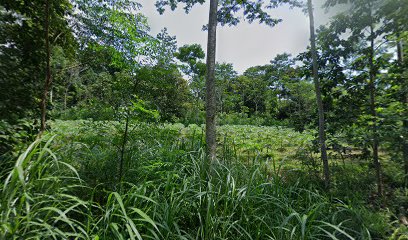 Makam Sibubur