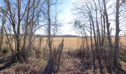 Scott-Bussy Cemetery