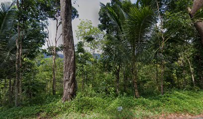 Rumah family abah kohar