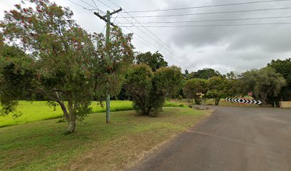 Alan's Wildlife Tours