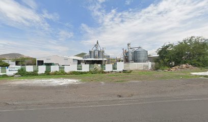 Arroceros del Valle del Márquez S.P.R. de R.L.