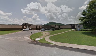 Guntersville High School Baseball Field