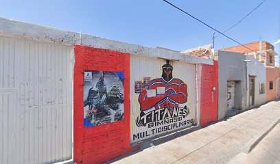 Gimnasio titanes multi disciplinario