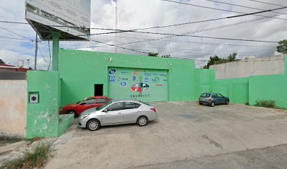 GPY Grupo Porcícola de Yucatán - Suc. Ordaz / Cedis