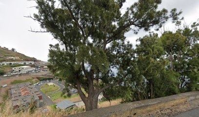 Clube De Tiro, Caça E Pesca Da Madeira