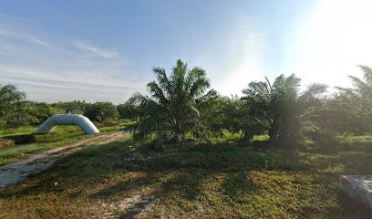 Rasau Water Treatment Plant