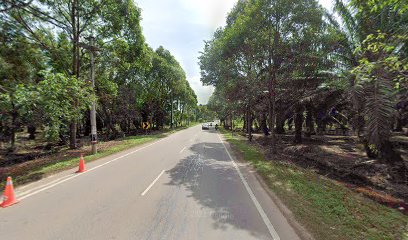 Kebun Bunga Ban Guan Nursery