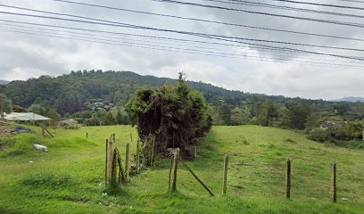 Vereda los salados