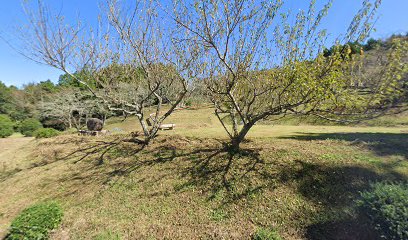 倭文ふれあい公園