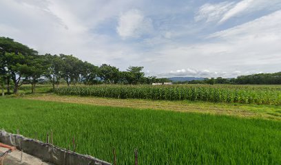 Kelompok Bermain Mutiara Kasih