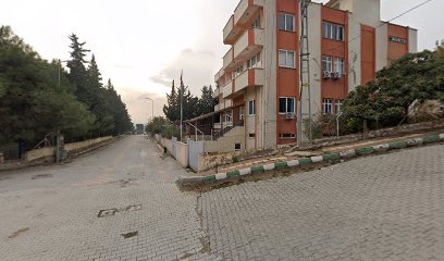 Altınözü Bakım Ve Rehabilitasyon Mer.