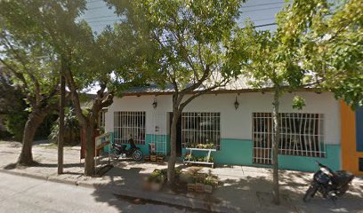 Tienda De Animales Y Plantas