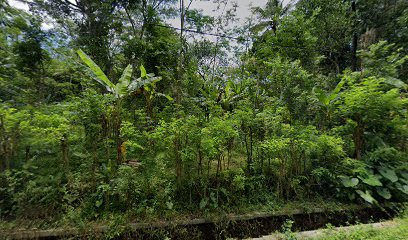 Makam Punukan