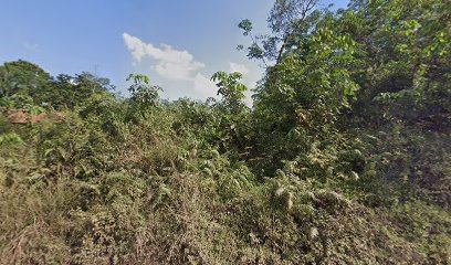 Tambang batu bara Kebun 9