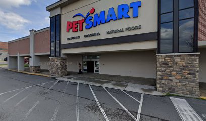 PetSmart Dog Training