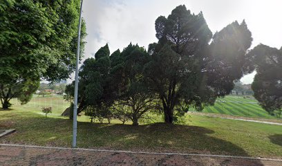 Capoeira Penang (Grupo Senzala)