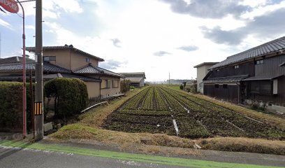 五島園芸守山農場