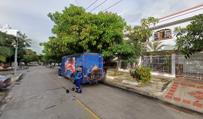 TIENDA Y MISCELANEA LOS VIEJOS ACACIOS