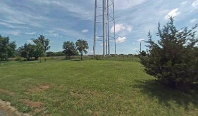 Bethany water tower/Bulldog