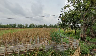 Taman Kanak Kanak Dharma Wanita Persatuan Setda