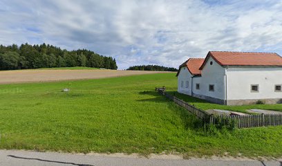 Leopoldschläger Bezirksstrasse vulgo Zigeunerrad