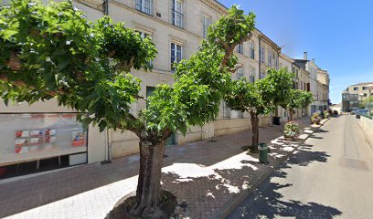 Musée Municipal Albert Marzelles