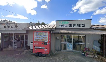 西岬種苗