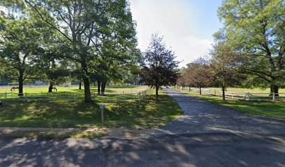 Sunshine Stables