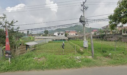 Sewa villa kota bunga