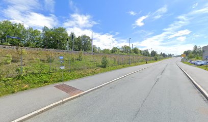 Marienborg stasjon