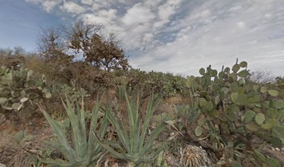 Granja las palmas