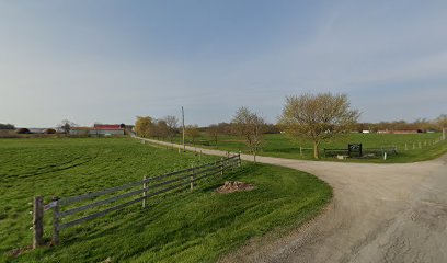 Bennville Farm Limousins